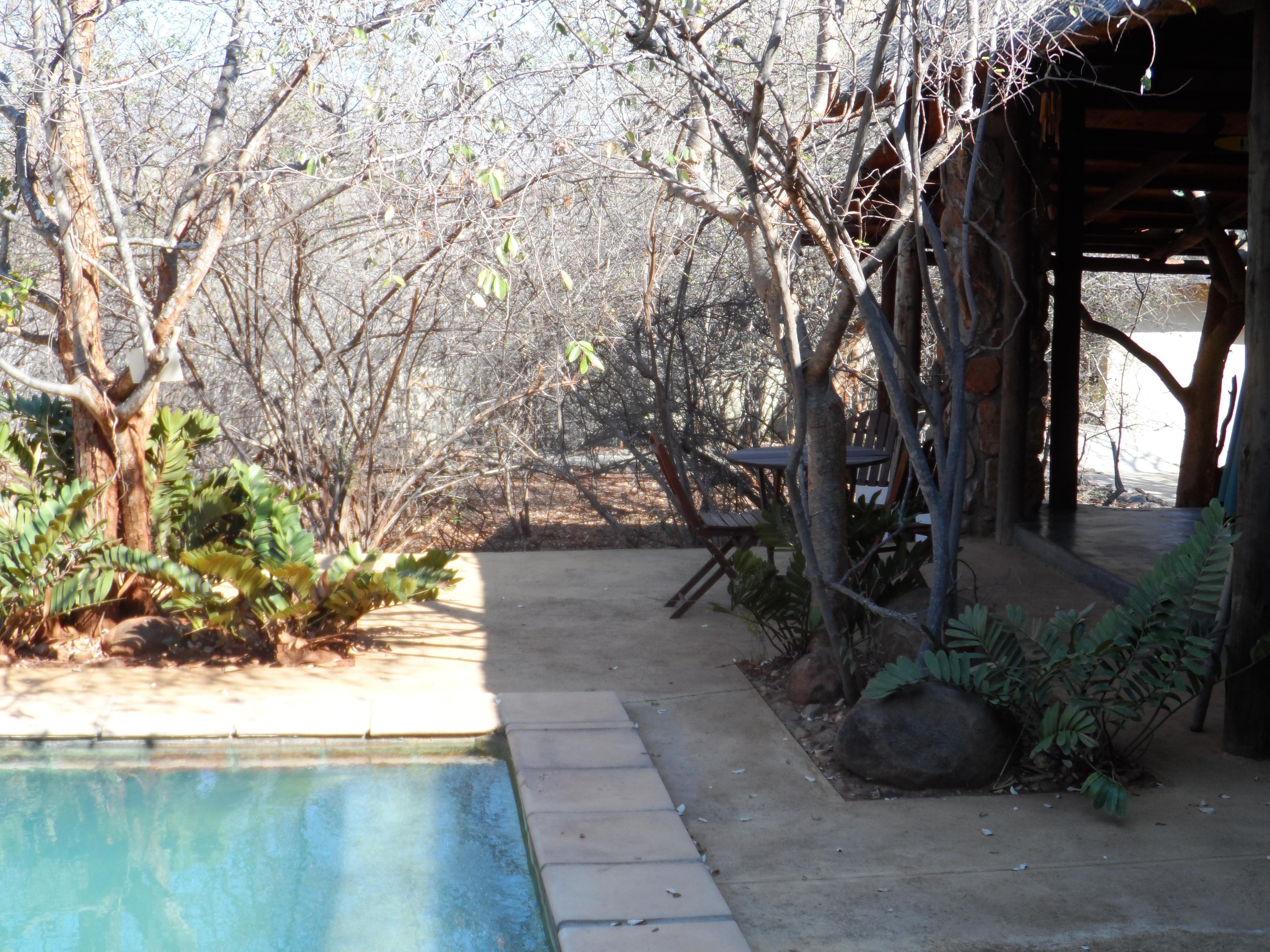 Shikwari Nature Reserve Hoedspruit Exterior foto